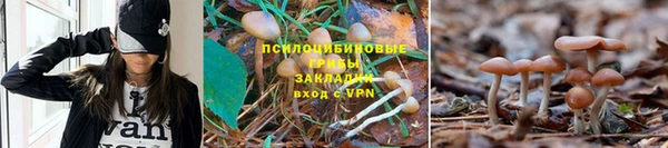 бошки Абдулино