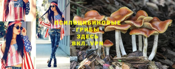 молекула духа Ладушкин