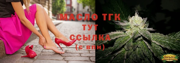индика Лабытнанги