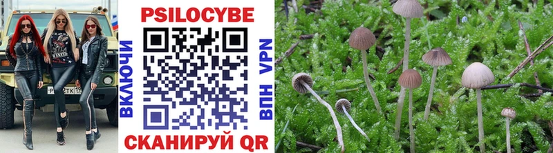 МЕГА как войти где найти Сурск Галлюциногенные грибы MAGIC MUSHROOMS